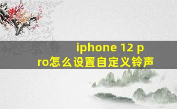 iphone 12 pro怎么设置自定义铃声